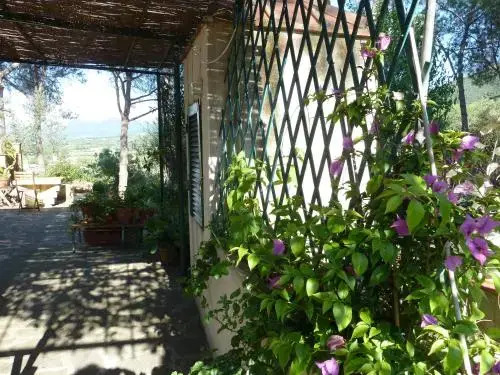 Il Poggetto