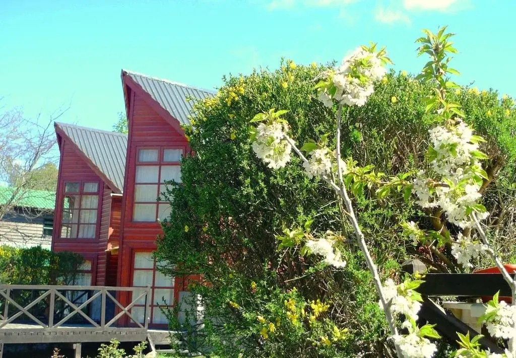 Cabañas Raimapu