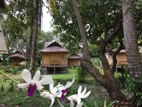 Kohmook cocobeach