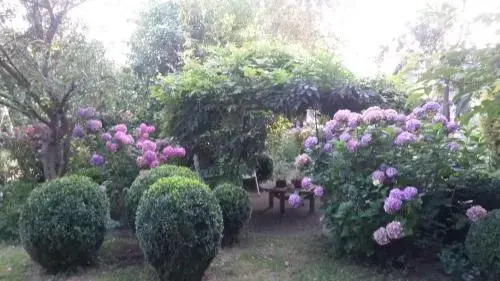 B & B het groene hart