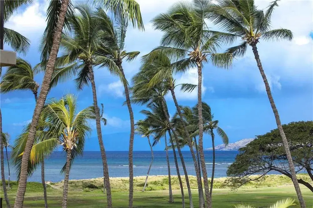 Kauhale Makai 331 - 1 Br Condo
