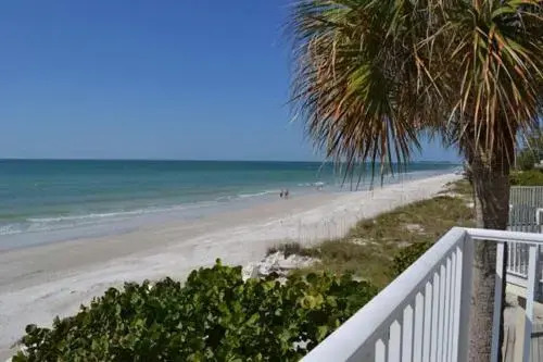 Beach House Resort 7