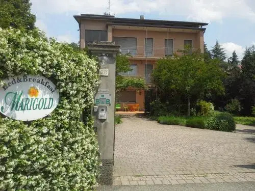 B&B Merate Marigold