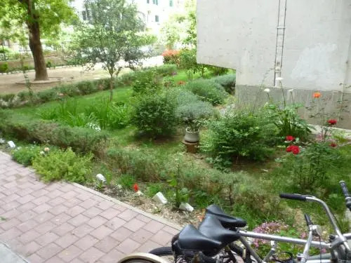 Apartment Lucy