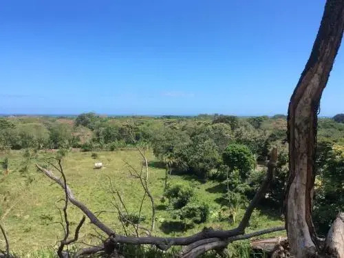 Hacienda Valencia