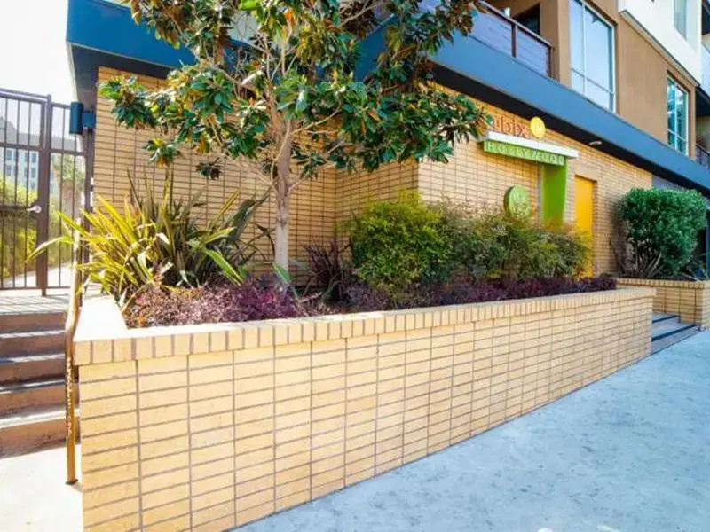 Hollywood Downtown Apartment