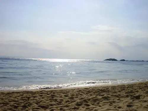 Palmeras 5.2
