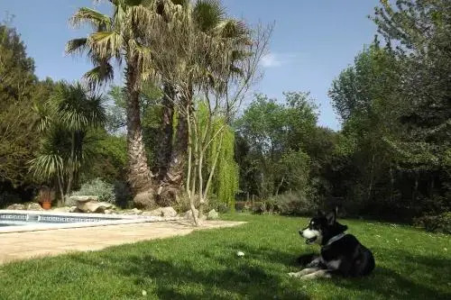 Casa Rural Mas Martís