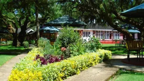 Thomsons Falls Lodge