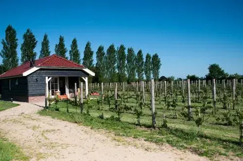 Park Nieuwgrapendaal