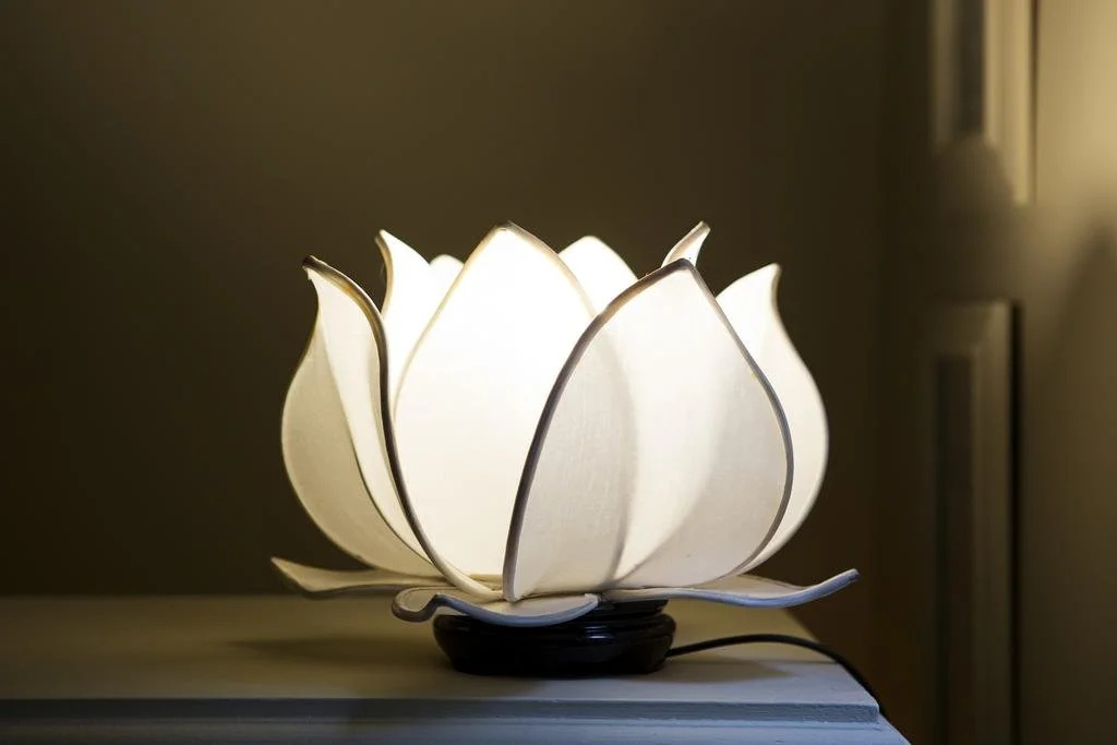 White Lotus Day Spa