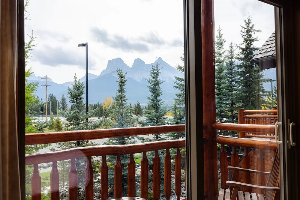 A Bear and Bison Country Inn