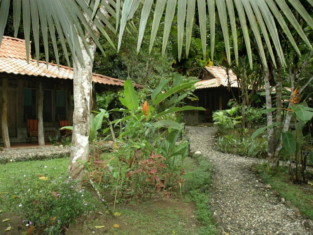Hotel La Gamba Rainforest Lodge