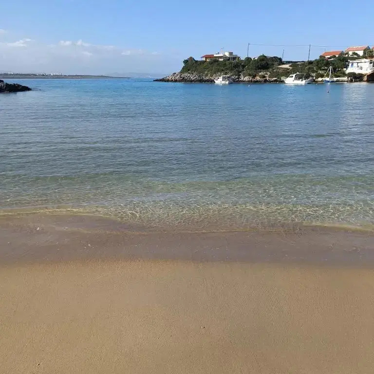 Drosoula house 3bdr 450 sqm yard