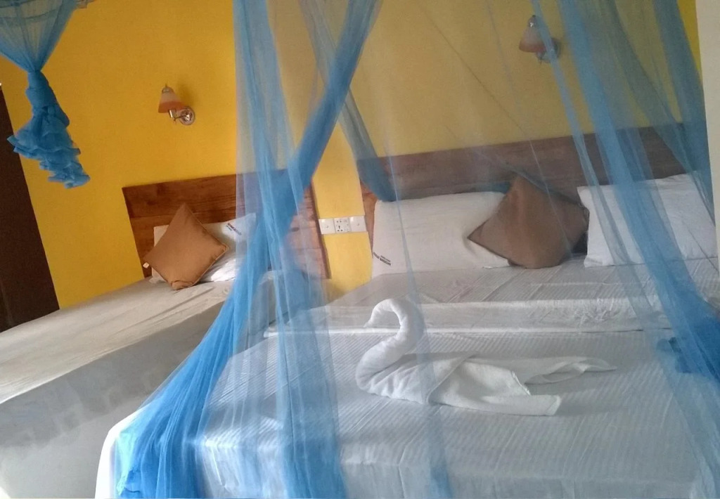 Hotel kashyapa Kingdom view