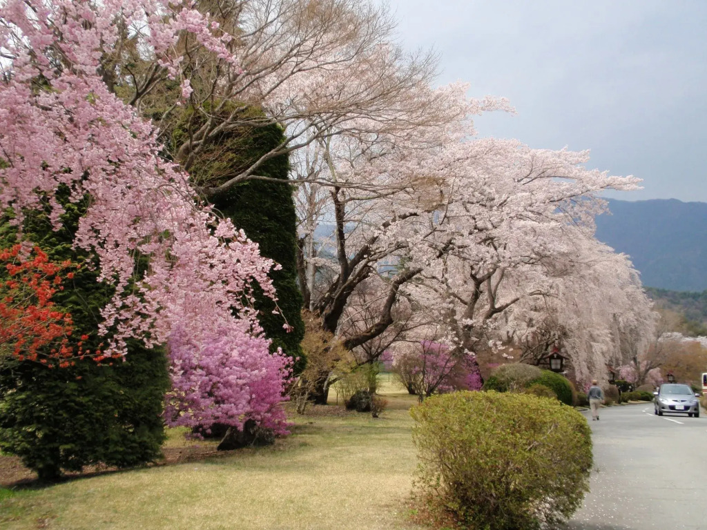 美食の宿 The Kawaguchiko Villa