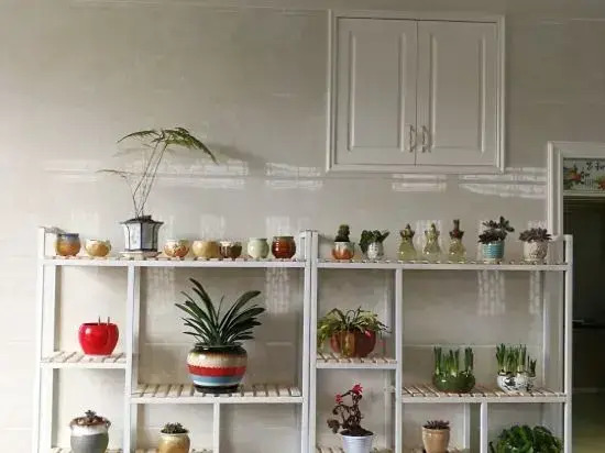 Wenzhou dongaoding homestay no. 12
