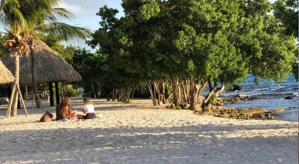 Peter's Choice B3 Ihr privates Tropen-Paradies