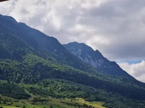 Pensiunea Kyfana Zarnesti