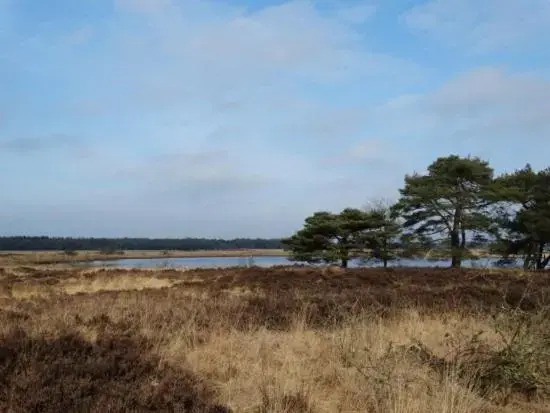 Huisje venzicht 7