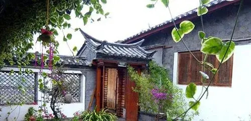 Rose of Ancient Town - Lijiang