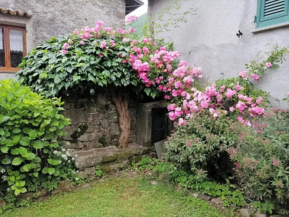 B&B Alle Ortensie Blu