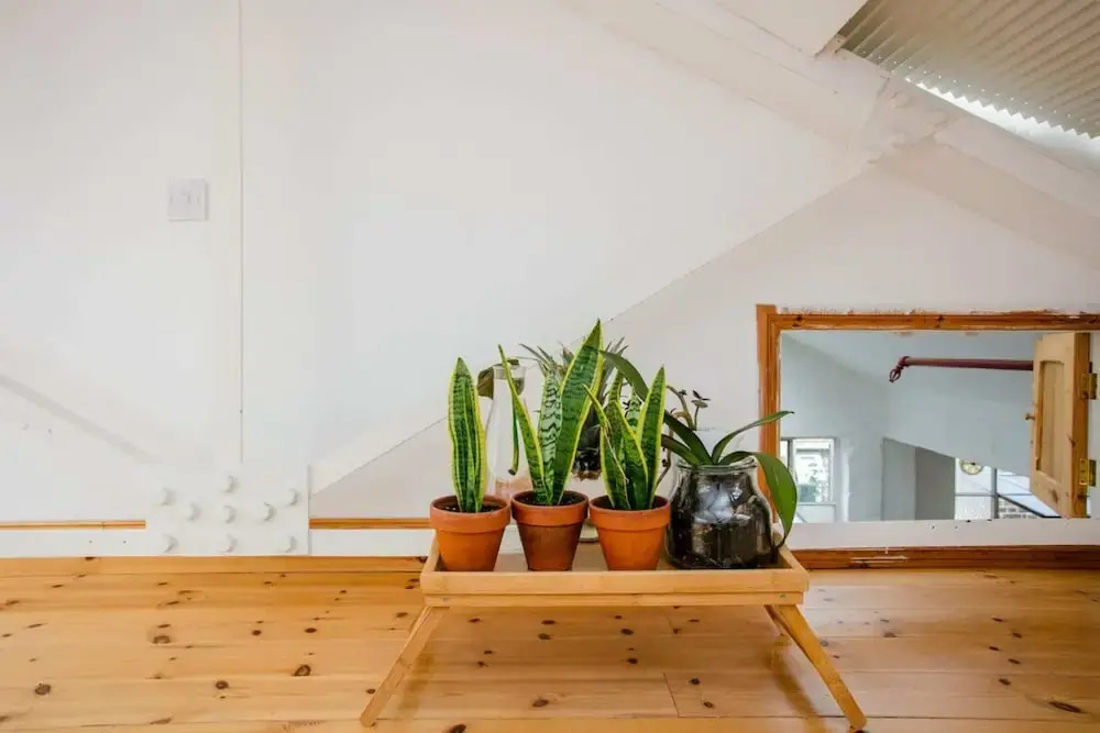 Studio Flat Near Broadway Market