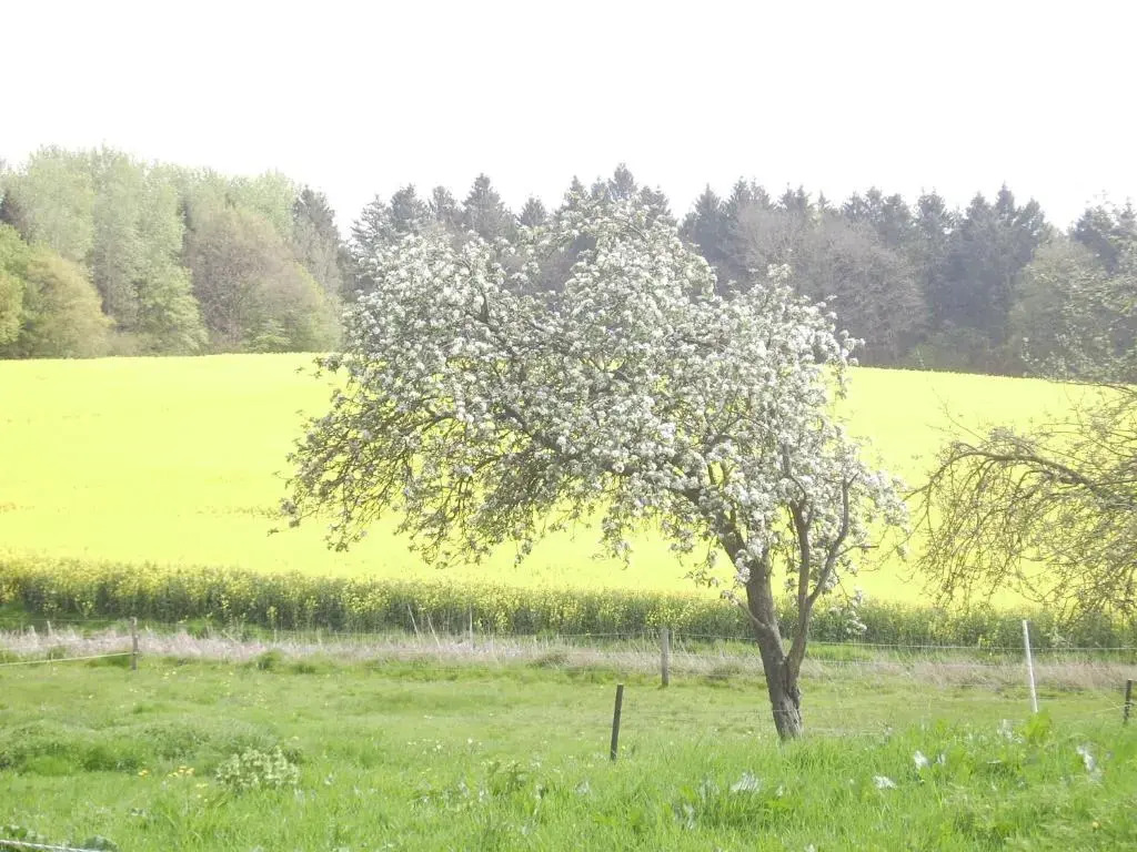 Hof Rodenkrog