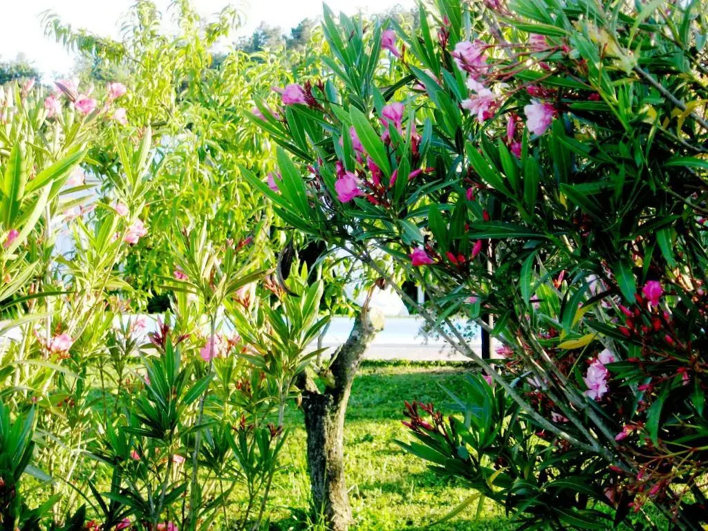 Locanda il Fornello