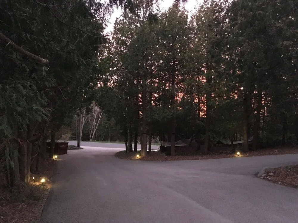 The Forest House B&B ( Adults Only )