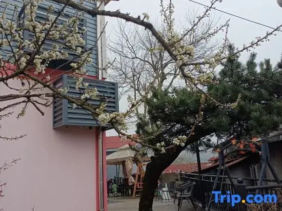 Yinju Guesthouse
