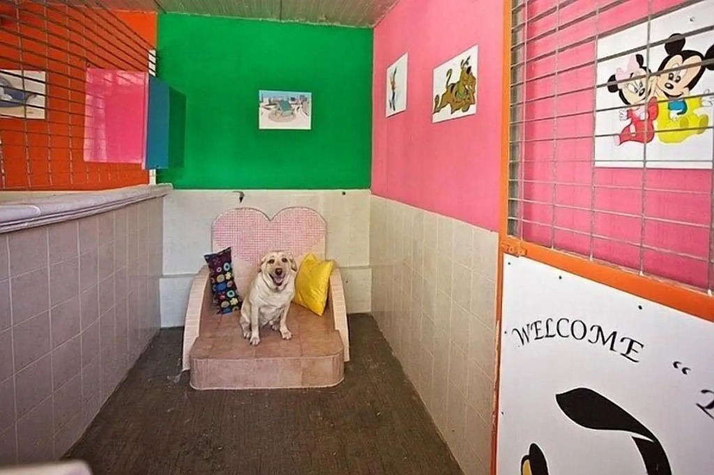 B&B Barletta Acasamia con Parcheggio Privato