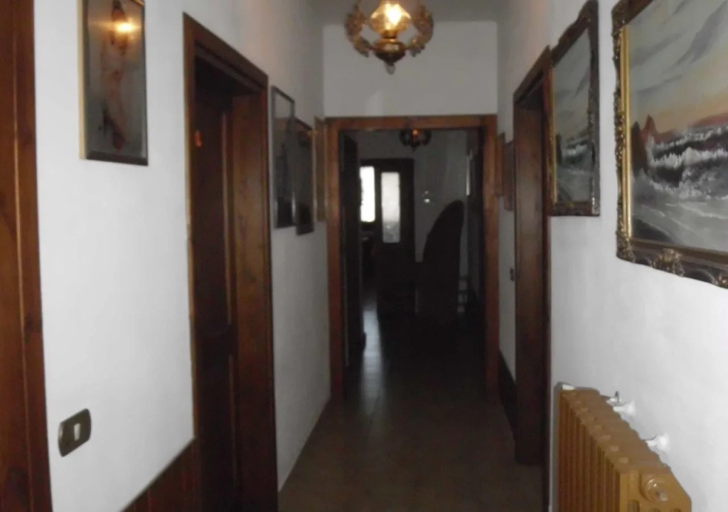 B&B Forconensis