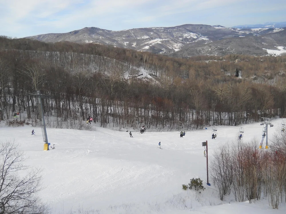 Sugar Ski & Country Club Unit 832 Silver