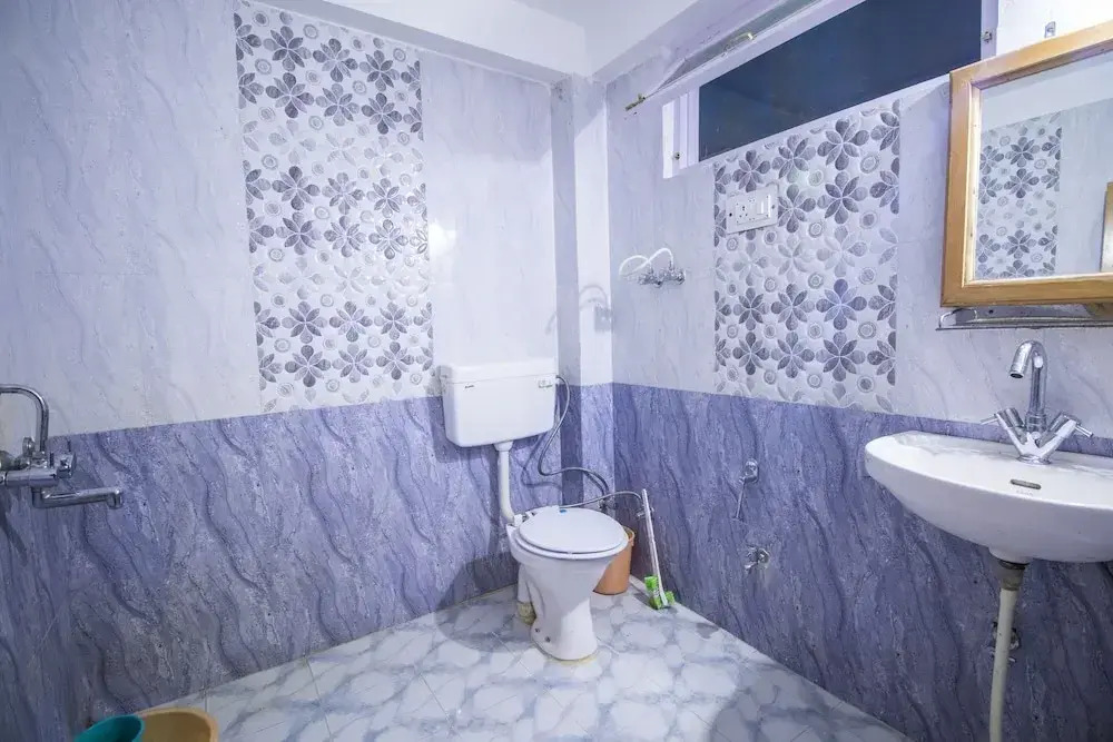 Hotel Paradise Manali