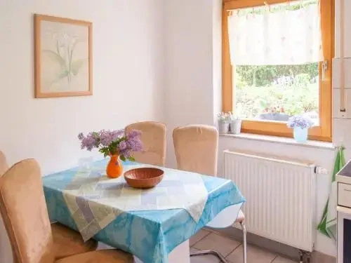 Ferienwohnung über den Dächern von Dresden