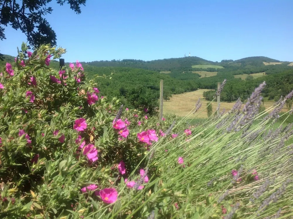 Ferme de Serene