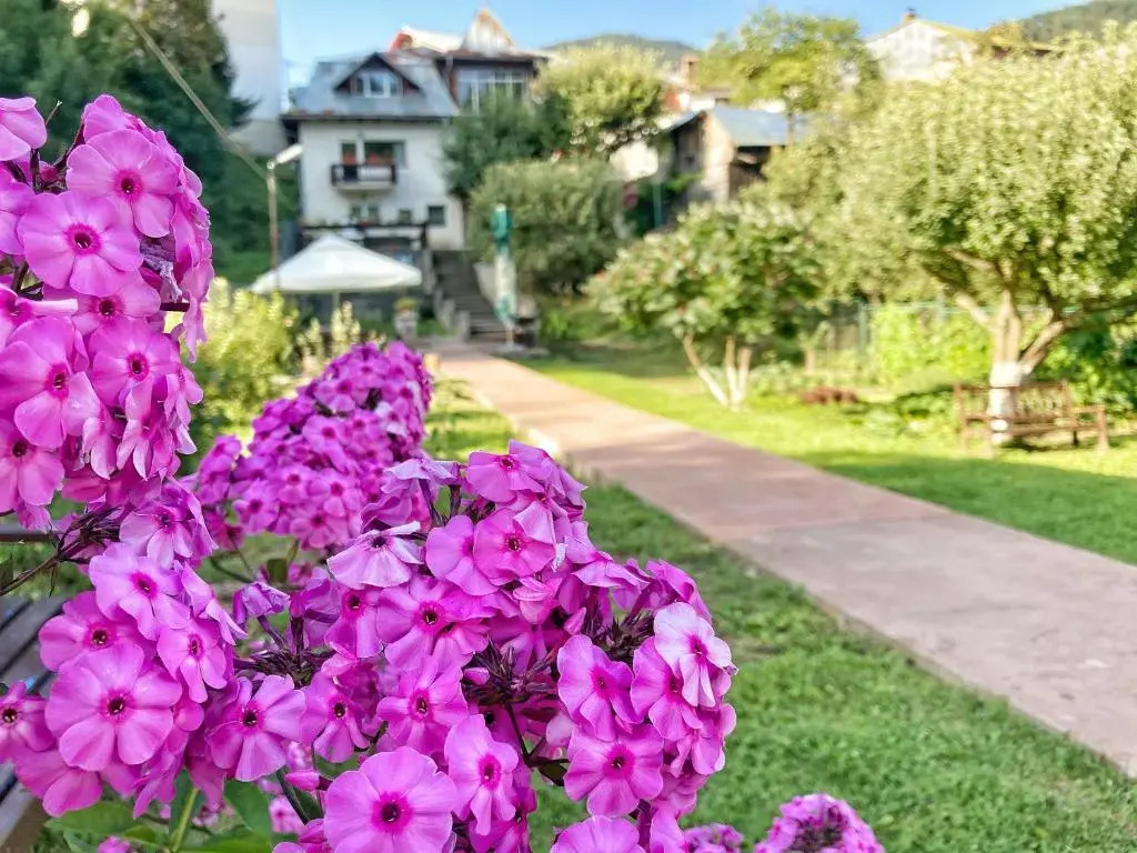 Vila Elisabeta