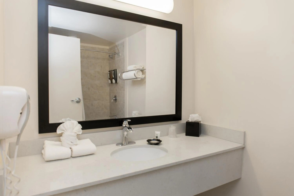Chicago South Loop Hotel