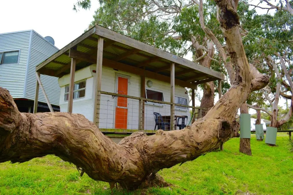 Bimbi Park - Camping Under Koalas