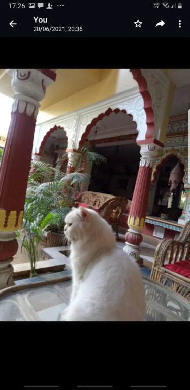 Sureli Haveli