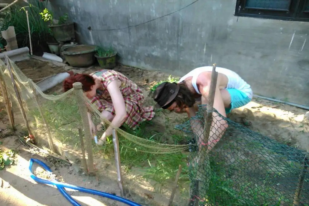 PHU SA HOMESTAY Hoi An