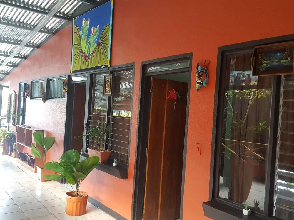 Red Frog Rooms
