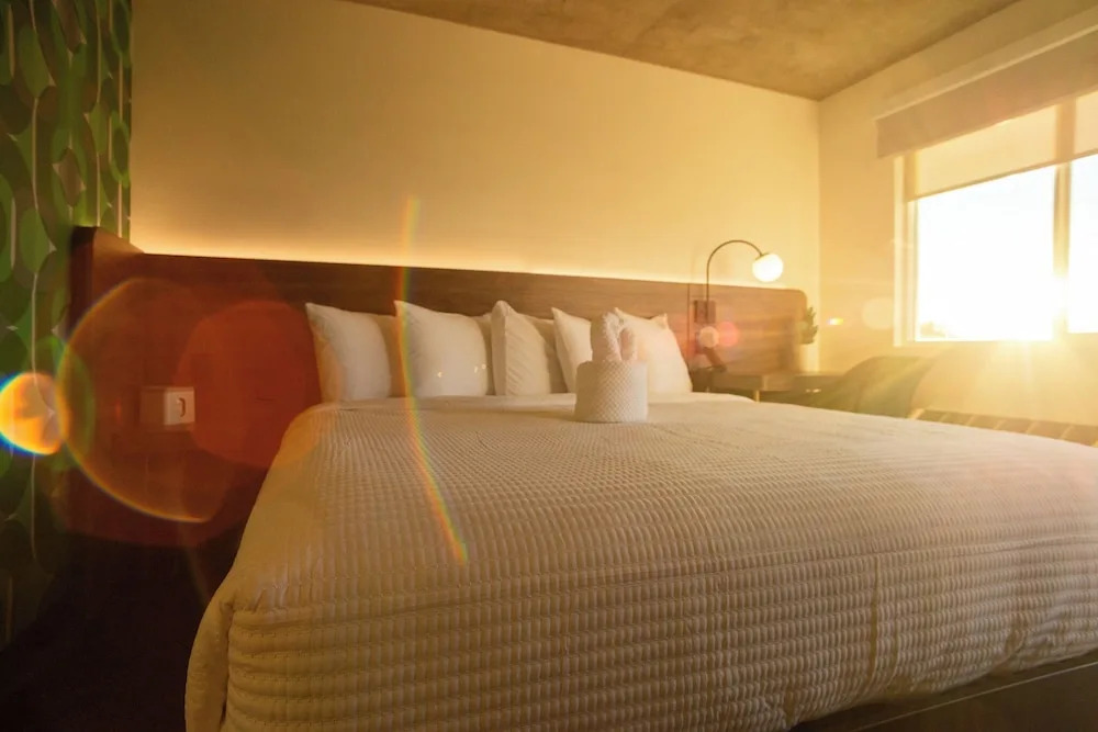 The Alice Hotel