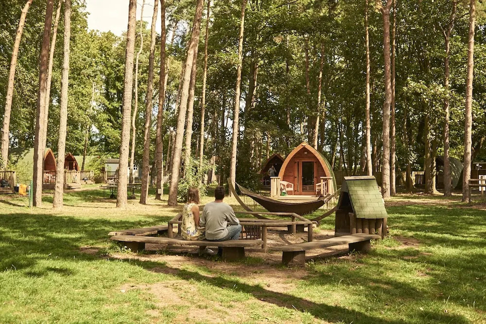 Pinewood - At Port Lympne Hotel & Reserve
