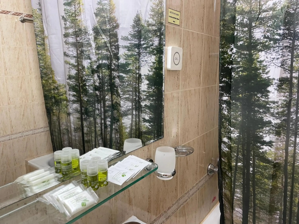 Private Apartment Laplandia 77 (Pamporovo, Bulgaria)