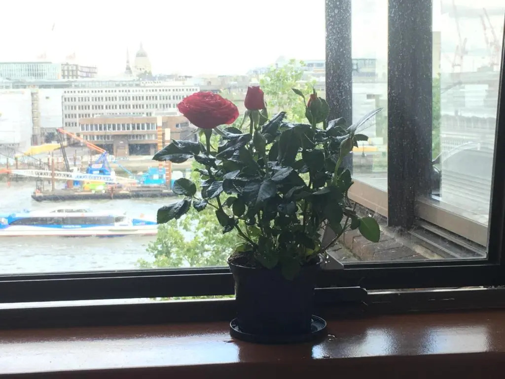 Room in Central London Overview Thames