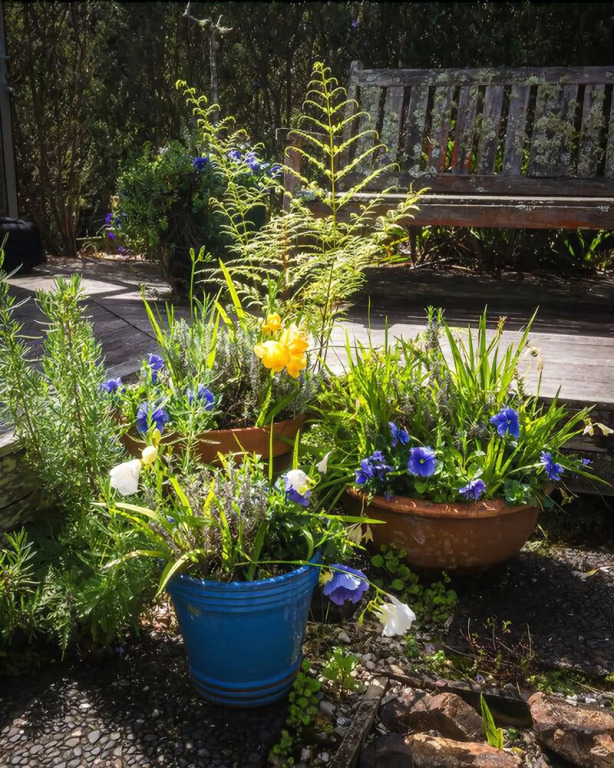 The Courtyard