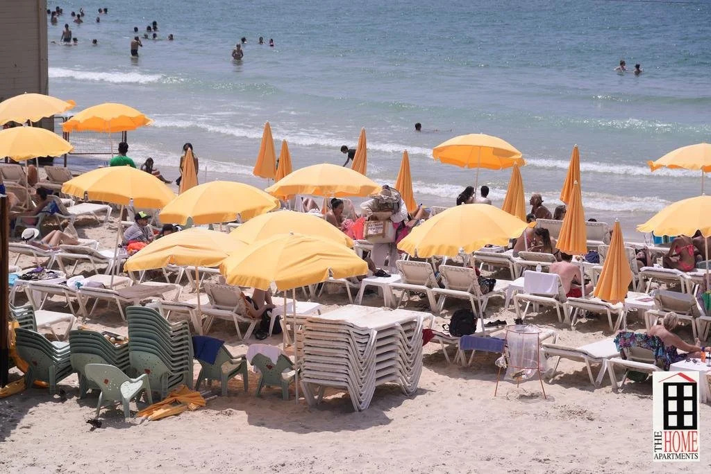 Domus TLV