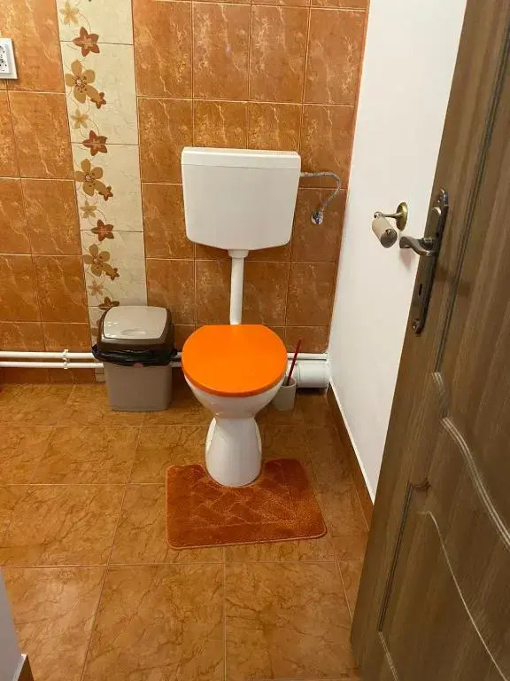 B House Bușteni